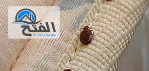 شركة مكافحة بق الفراش بدبي