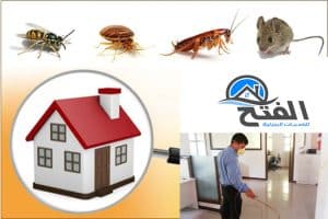 نصائح لجعل المنزل خالي من الحشرات