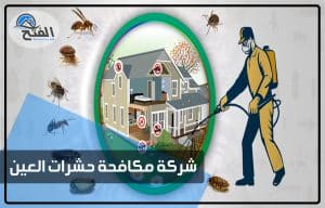 شركة مكافحة حشرات العين