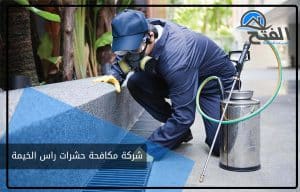 شركة مكافحة حشرات راس الخيمة
