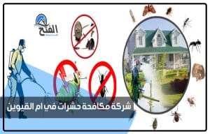 شركة مكافحة حشرات في ام القيوين