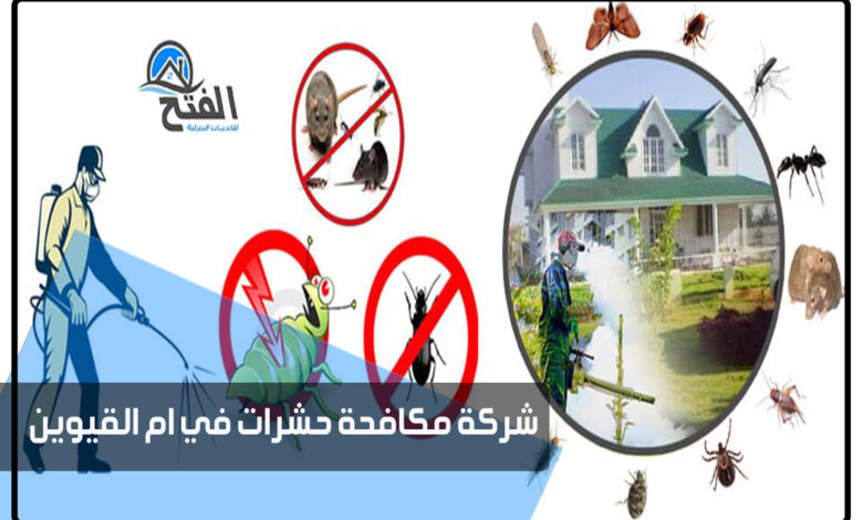 شركة مكافحة حشرات في ام القيوين