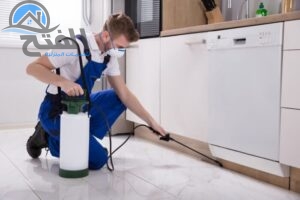 أرقام شركة رش حشرات في عجمان