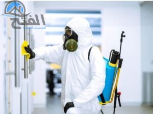 أسباب ظهور النمل الأبيض
