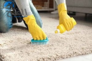 أفضل شركة تنظيف سجاد في عجمان