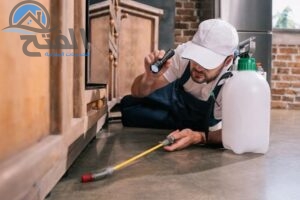 افضل شركة مكافحة النمل الابيض في عجمان