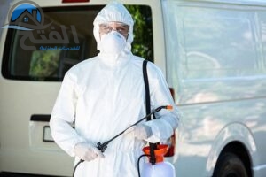 خدمات شركة مكافحة الفئران في عجمان