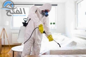 خدمات شركة مكافحة النمل الابيض في عجمان