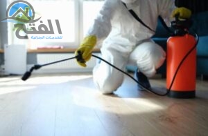 خطوات مكافحة الحشرات التي تتبعها الشركة