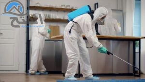 خطوات مكافحة الفئران في عجمان