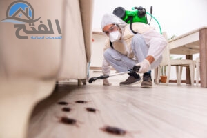 نصائح شركة رش حشرات في عجمان