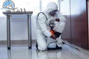 افضل خدمات مكافحة لكل انواع الحشرات